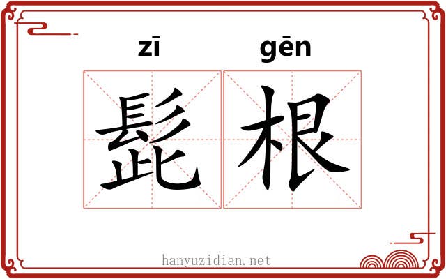 髭根