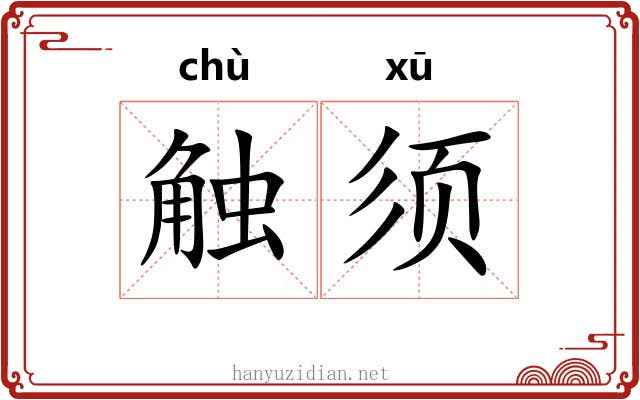 触须