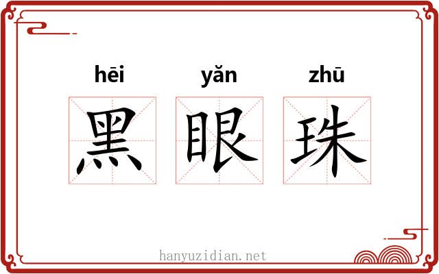 黑眼珠 黑眼珠