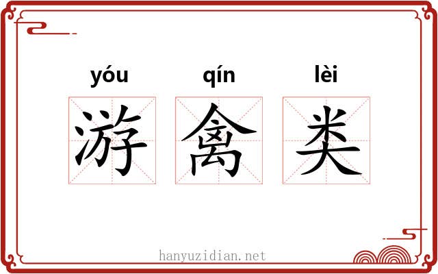游禽类