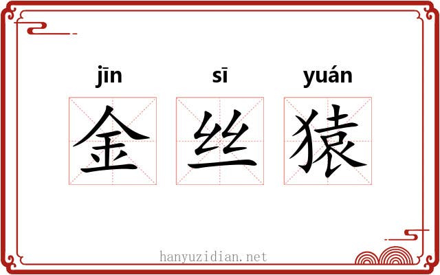 金丝猿 金丝猿