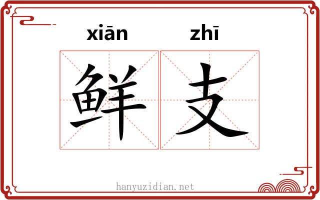 鲜支
