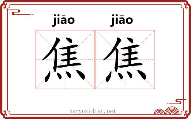 焦焦