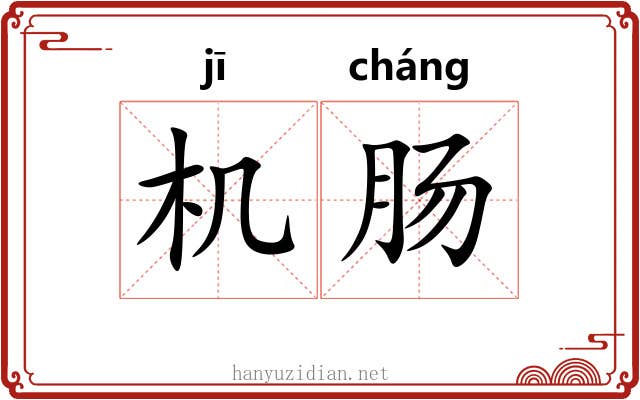 机肠