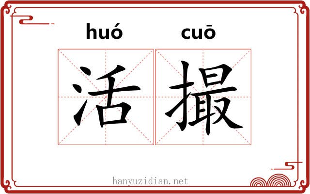 活撮 活撮