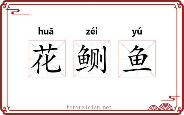 花鲗鱼 花鲗鱼