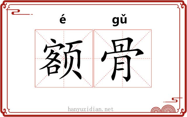 额骨