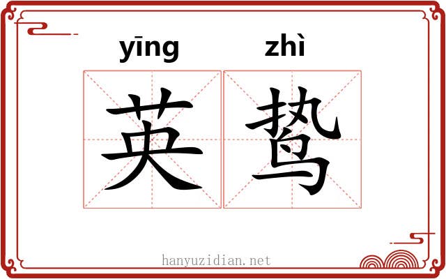 英鸷