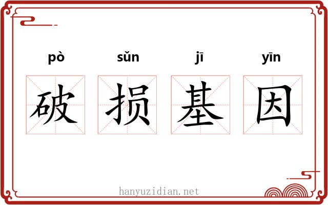 破损基因 破损基因