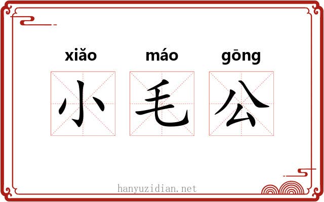 小毛公