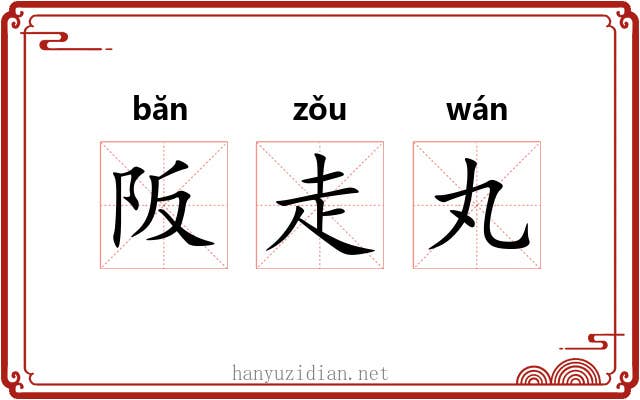 阪走丸
