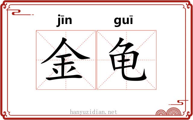 金龟 金龟