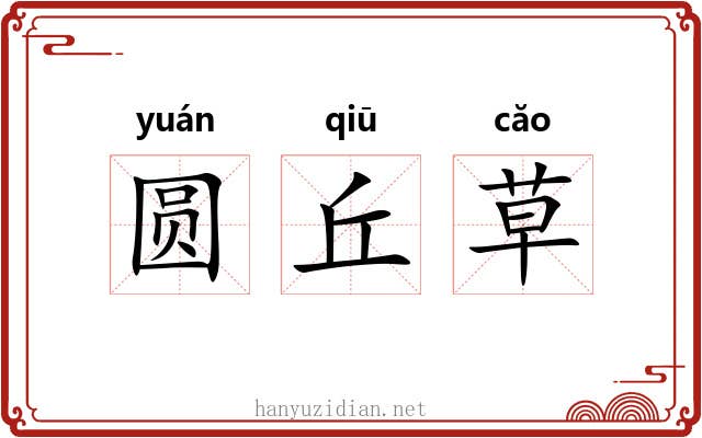 圆丘草