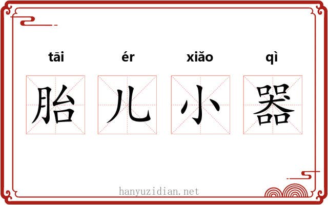 胎儿小器