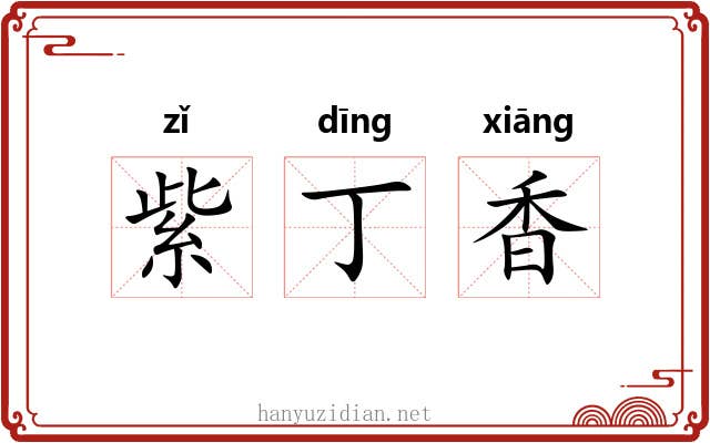 紫丁香 紫丁香