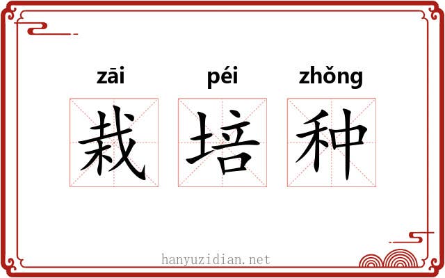 栽培种 栽培种