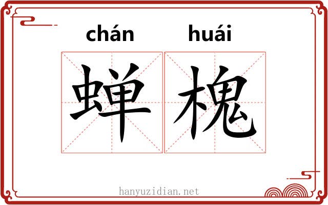 蝉槐