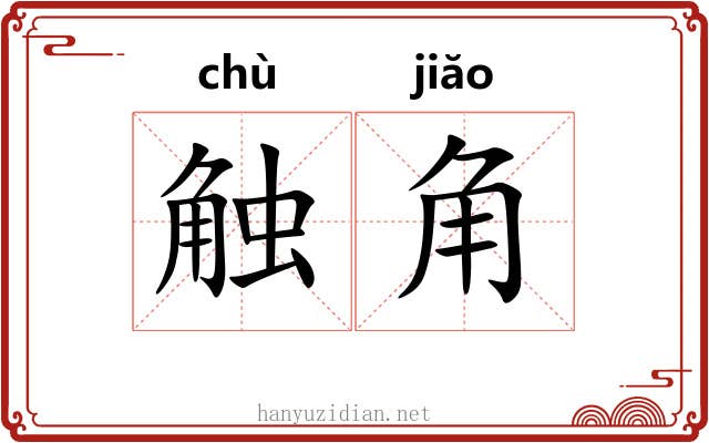 触角 触角