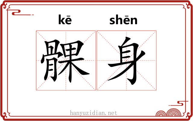 髁身