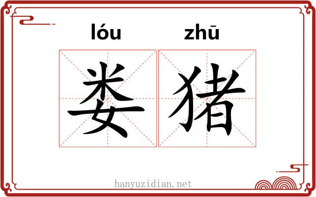 娄猪