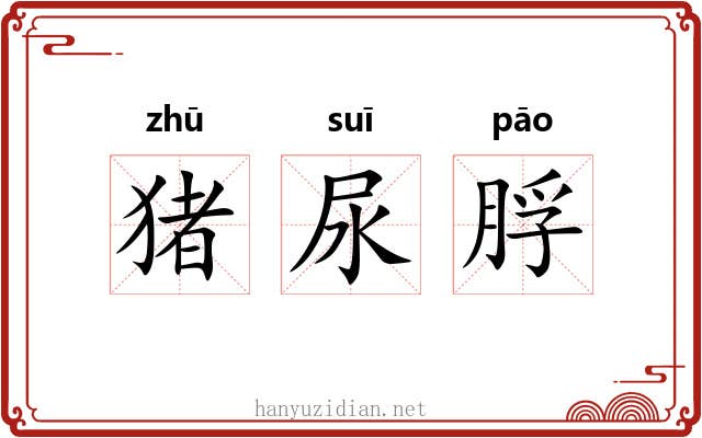 猪尿脬