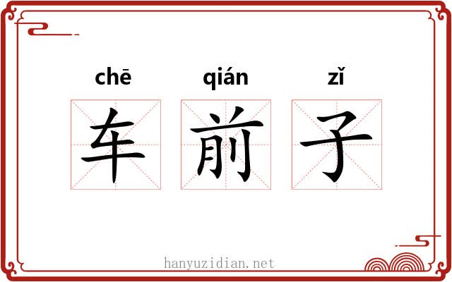 车前子 车前子