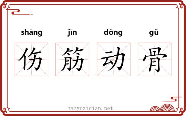 伤筋动骨 伤筋动骨