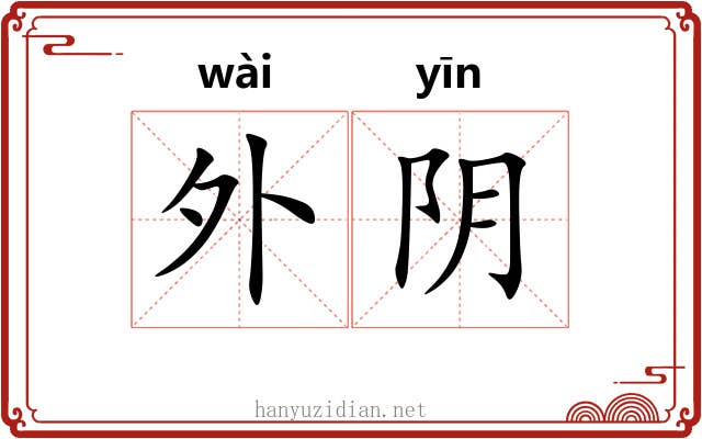 外阴 外阴