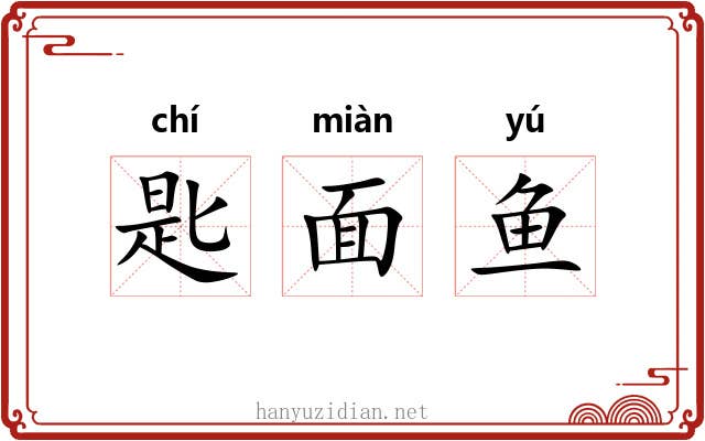 匙面鱼