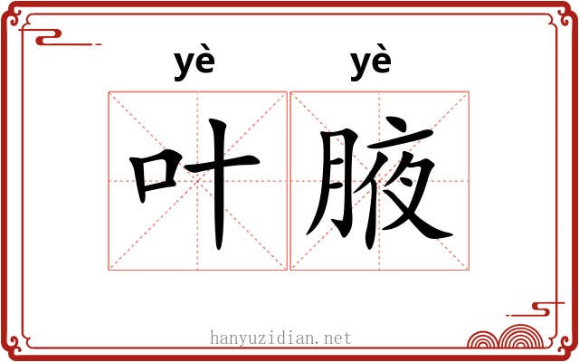 叶腋