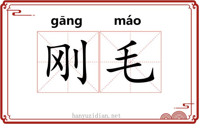 刚毛 刚毛