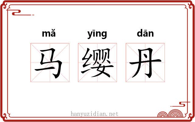 马缨丹