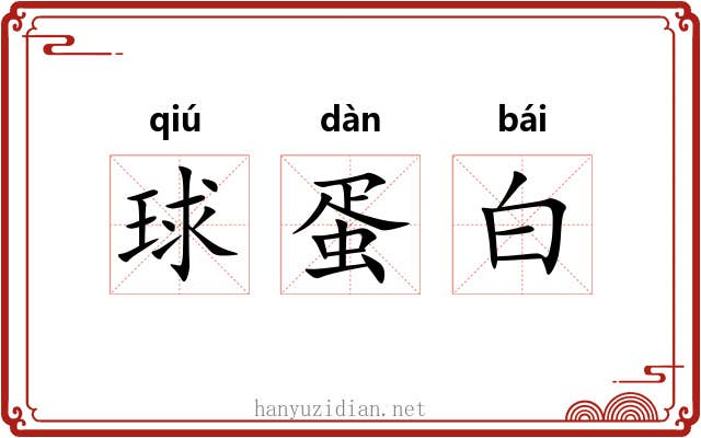 球蛋白