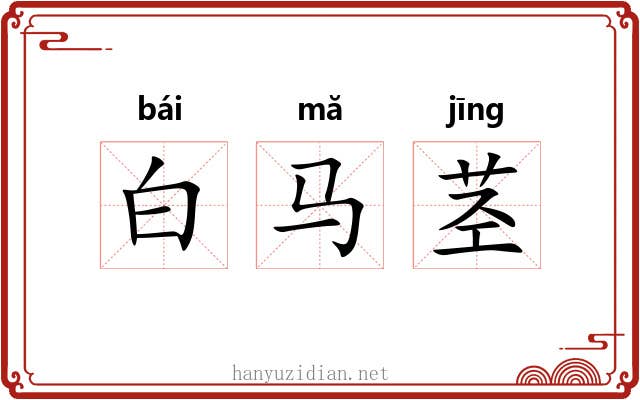 白马茎 白马茎