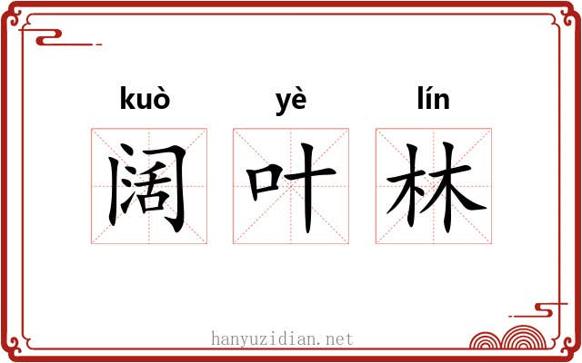 阔叶林 阔叶林