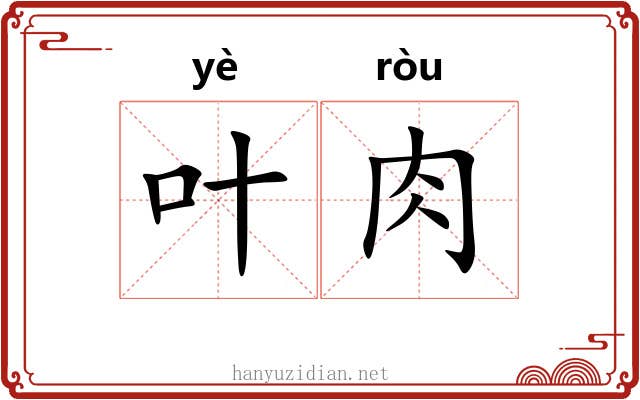 叶肉