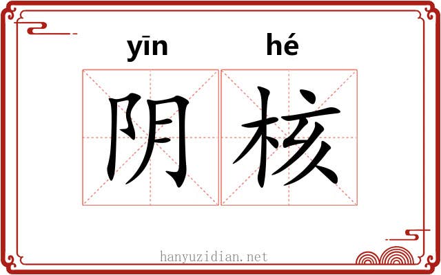阴核
