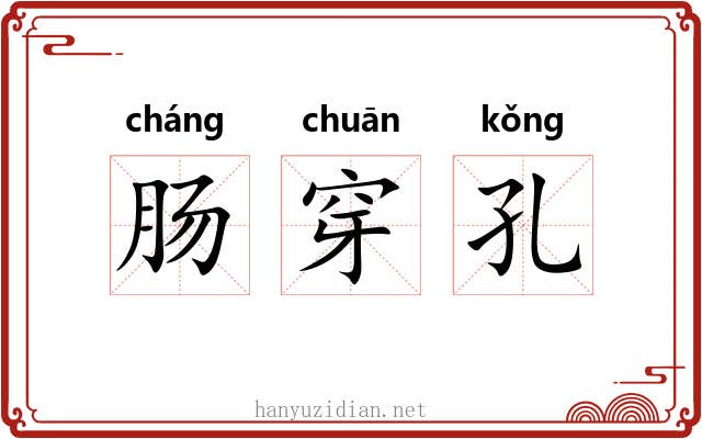 肠穿孔 肠穿孔
