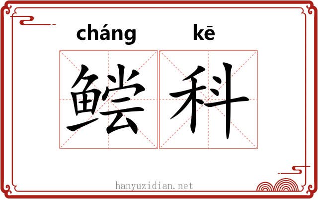 鲿科
