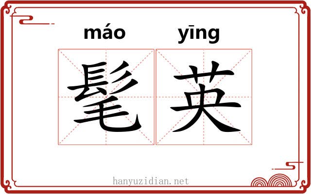 髦英