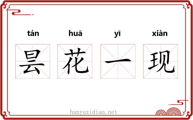 昙花一现 昙花一现