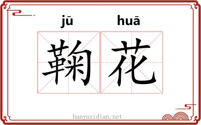 鞠花