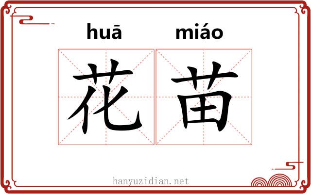 花苗 花苗