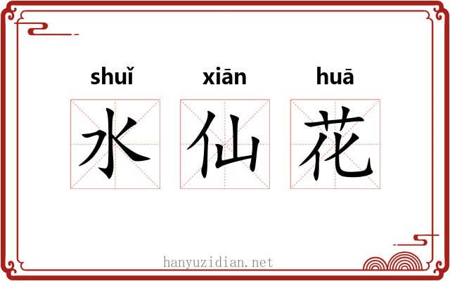 水仙花 水仙花