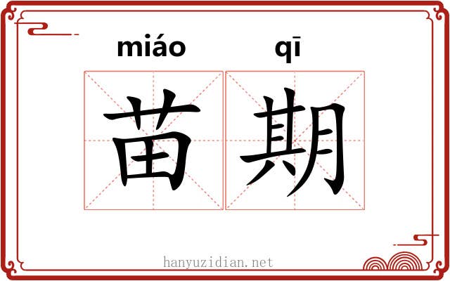 苗期 苗期