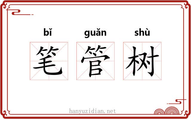 笔管树 笔管树