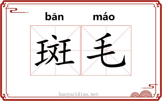 斑毛
