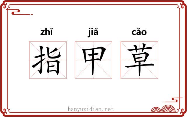 指甲草 指甲草