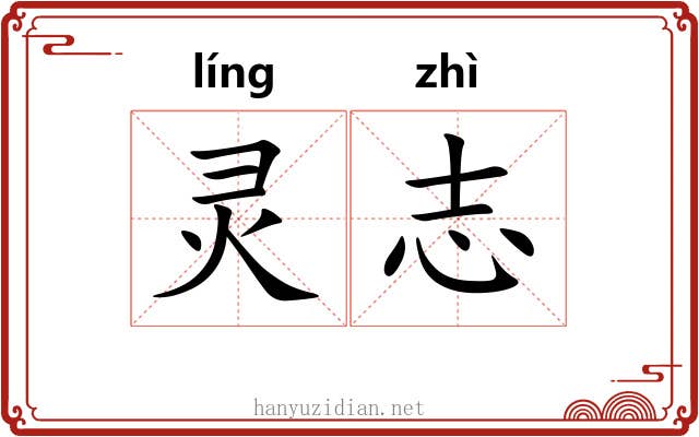 灵志 灵志