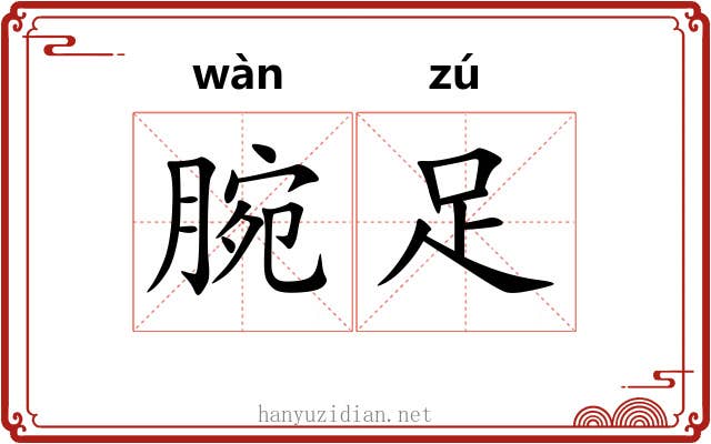 腕足